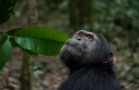 Uganda en esencia 2026