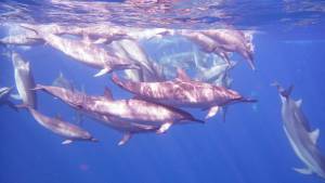 Aventura por el sur y playas de Tailandia