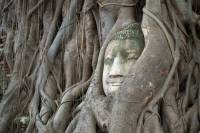 Combi Vietnam y Tailandia