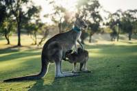 Maravillas de Australia